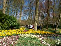 Im Keukenhof &ndash; &copy; Steffen Mucke (Eberhardt TRAVEL)