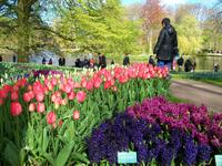 Im Keukenhof &ndash; &copy; Steffen Mucke (Eberhardt TRAVEL)