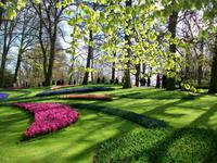 Im Keukenhof &ndash; &copy; Steffen Mucke (Eberhardt TRAVEL)
