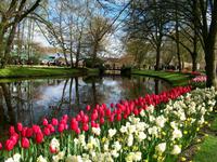 Im Keukenhof &ndash; &copy; Steffen Mucke (Eberhardt TRAVEL)