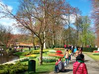 Im Keukenhof &ndash; &copy; Steffen Mucke (Eberhardt TRAVEL)