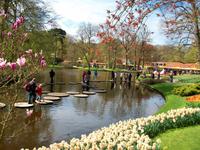 Im Keukenhof &ndash; &copy; Steffen Mucke (Eberhardt TRAVEL)