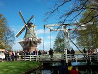 Im Keukenhof