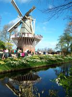 Im Keukenhof &ndash; &copy; Steffen Mucke (Eberhardt TRAVEL)