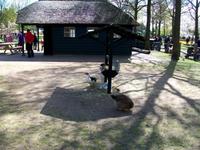 Im Keukenhof &ndash; &copy; Steffen Mucke (Eberhardt TRAVEL)