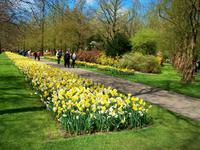 Im Keukenhof &ndash; &copy; Steffen Mucke (Eberhardt TRAVEL)