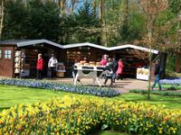 Im Keukenhof &ndash; &copy; Steffen Mucke (Eberhardt TRAVEL)