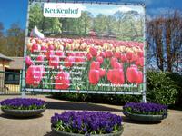 Im Keukenhof &ndash; &copy; Steffen Mucke (Eberhardt TRAVEL)