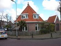 Palmen in Medemblik