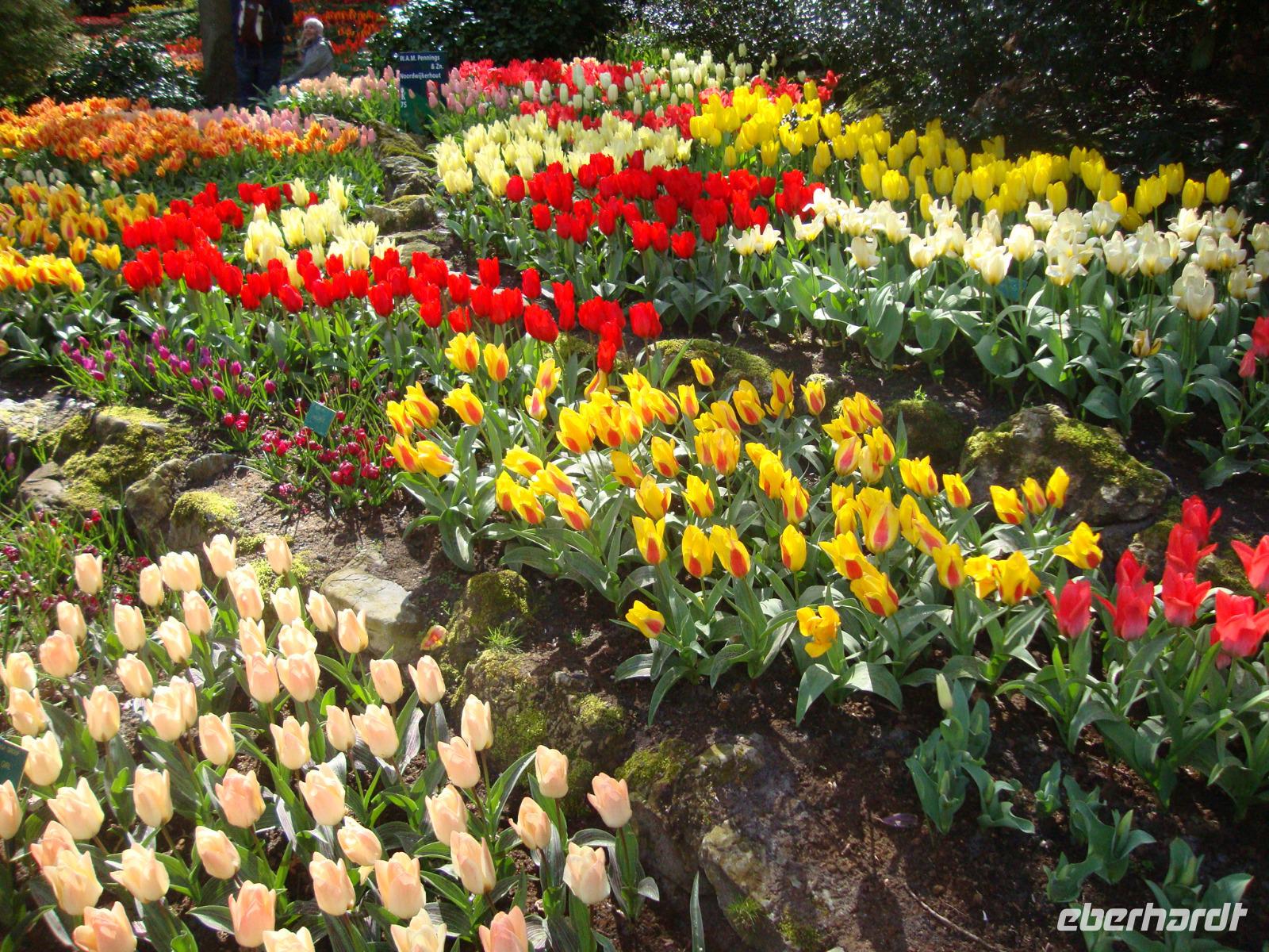 Keukenhof &ndash; &copy; Harald Kühne (Eberhardt TRAVEL)