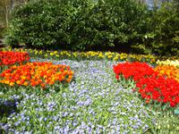 Keukenhof &ndash; &copy; Harald Kühne (Eberhardt TRAVEL)