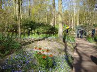 Keukenhof &ndash; &copy; Harald Kühne (Eberhardt TRAVEL)