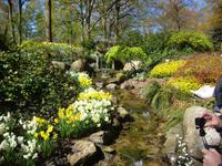 Keukenhof &ndash; &copy; Harald Kühne (Eberhardt TRAVEL)