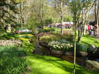 Keukenhof &ndash; &copy; Harald Kühne (Eberhardt TRAVEL)