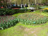 Keukenhof &ndash; &copy; Harald Kühne (Eberhardt TRAVEL)