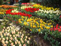Keukenhof &ndash; &copy; Harald Kühne (Eberhardt TRAVEL)