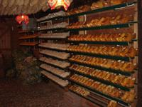Holzschuhe zum Verkauf &ndash; &copy; Stefan Jahnke (Eberhardt TRAVEL)