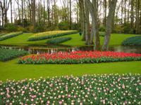 Blühende Flächen &ndash; &copy; Stefan Jahnke (Eberhardt TRAVEL)