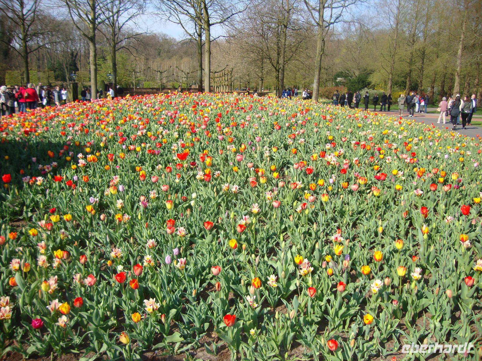 Keukenhof &ndash; &copy; Harald Kühne (Eberhardt TRAVEL)