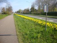 Keukenhof &ndash; &copy; Harald Kühne (Eberhardt TRAVEL)