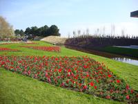 Keukenhof