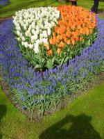 Gestaltung ist alles auf dem Keukenhof bei Lisse &ndash; &copy; Stefan Jahnke (Eberhardt TRAVEL)