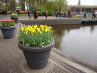 Keukenhof &ndash; &copy; Harald Kühne (Eberhardt TRAVEL)