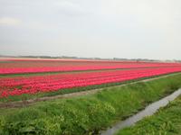 Friesland &ndash; &copy; Harald Kühne (Eberhardt TRAVEL)