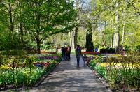 092 Blumenpracht im Keukenhof &ndash; &copy; Konrad Füssel (Eberhardt TRAVEL)