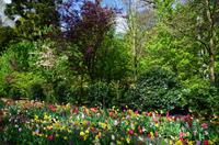 097 Blumenpracht im Keukenhof &ndash; &copy; Konrad Füssel (Eberhardt TRAVEL)