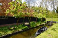 178 Zuiderzeemuseum Enkhuizen &ndash; &copy; Konrad Füssel (Eberhardt TRAVEL)