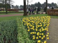 Keukenhof &ndash; &copy; Uta Schöne (Eberhardt TRAVEL)
