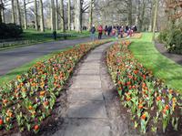 Keukenhof &ndash; &copy; Uta Schöne (Eberhardt TRAVEL)