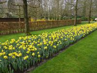 Keukenhof  &ndash; &copy; Claudia Bernhardt (Eberhardt TRAVEL)