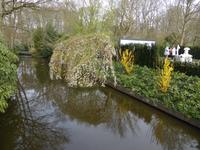 Keukenhof 