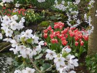 Keukenhof  &ndash; &copy; Claudia Bernhardt (Eberhardt TRAVEL)