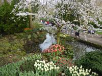 Keukenhof  &ndash; &copy; Claudia Bernhardt (Eberhardt TRAVEL)