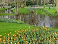 Keukenhof  &ndash; &copy; Claudia Bernhardt (Eberhardt TRAVEL)