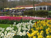 Keukenhof  &ndash; &copy; Claudia Bernhardt (Eberhardt TRAVEL)