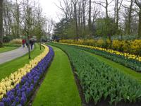 Keukenhof  &ndash; &copy; Claudia Bernhardt (Eberhardt TRAVEL)