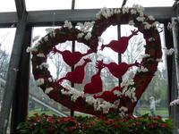 Keukenhof  &ndash; &copy; Claudia Bernhardt (Eberhardt TRAVEL)