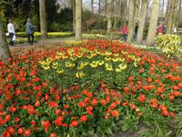 Keukenhof  &ndash; &copy; Claudia Bernhardt (Eberhardt TRAVEL)