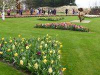 Keukenhof  &ndash; &copy; Claudia Bernhardt (Eberhardt TRAVEL)