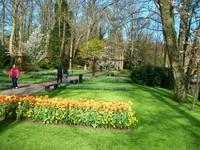 Im Keukenhof &ndash; &copy; Steffen Mucke (Eberhardt TRAVEL)