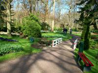 Im Keukenhof &ndash; &copy; Steffen Mucke (Eberhardt TRAVEL)