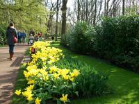 Im Keukenhof &ndash; &copy; Steffen Mucke (Eberhardt TRAVEL)