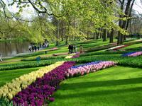 Im Keukenhof &ndash; &copy; Steffen Mucke (Eberhardt TRAVEL)