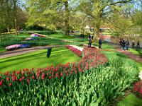 Im Keukenhof &ndash; &copy; Steffen Mucke (Eberhardt TRAVEL)