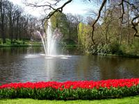 Im Keukenhof &ndash; &copy; Steffen Mucke (Eberhardt TRAVEL)
