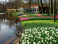 Im Keukenhof &ndash; &copy; Steffen Mucke (Eberhardt TRAVEL)